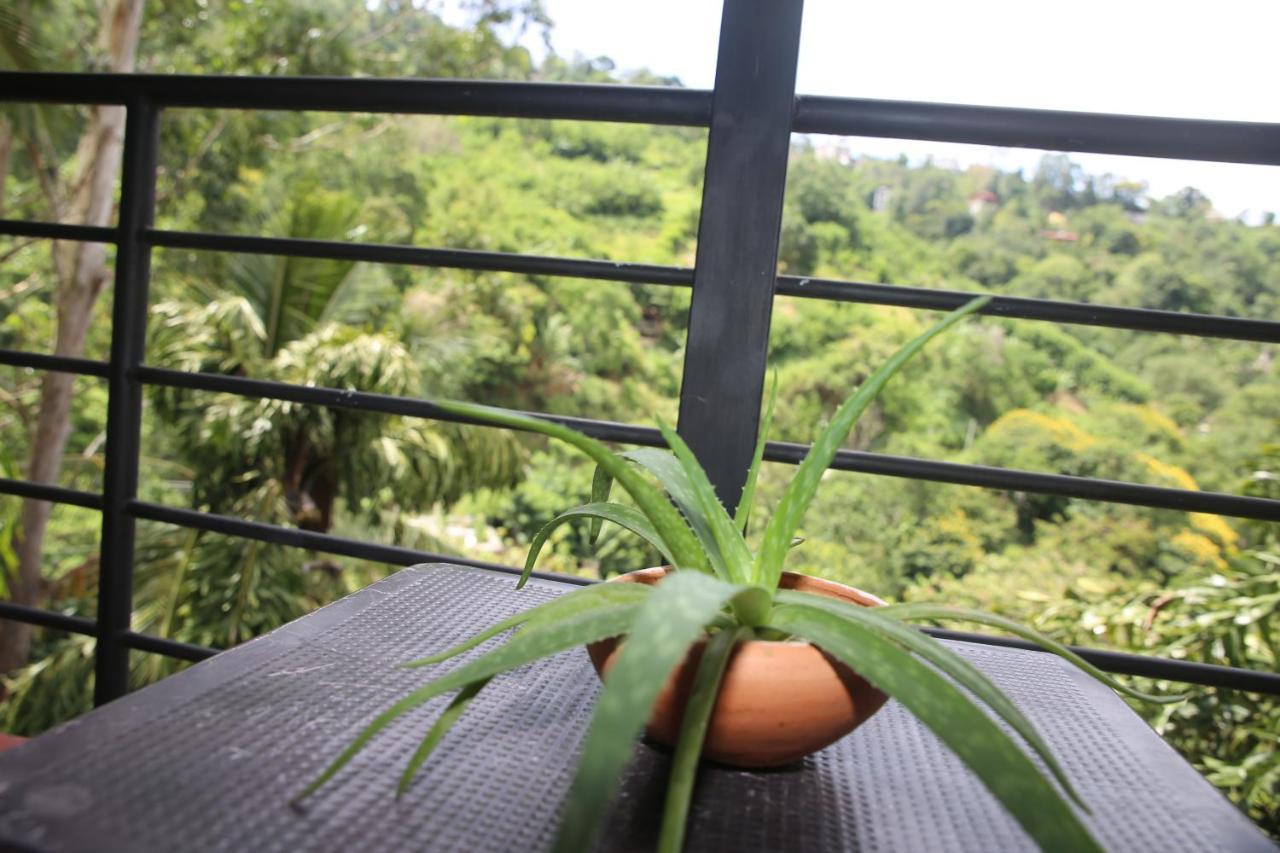 Rawana Mountain View Homestay Ella Exterior foto